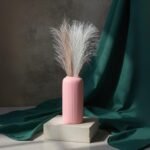 717a8lZNT3L._SL1500_